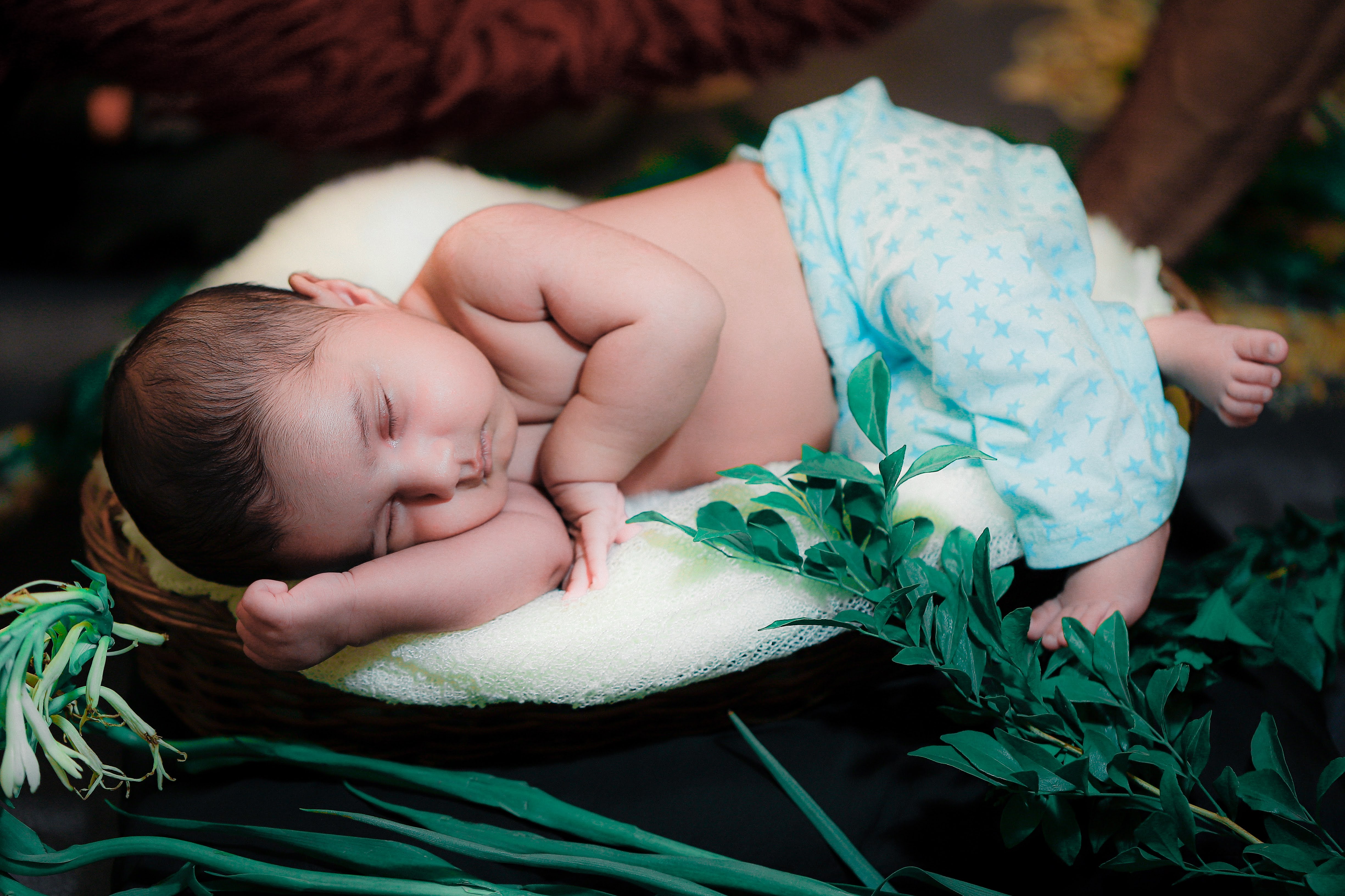 Newborn Baby Portrait